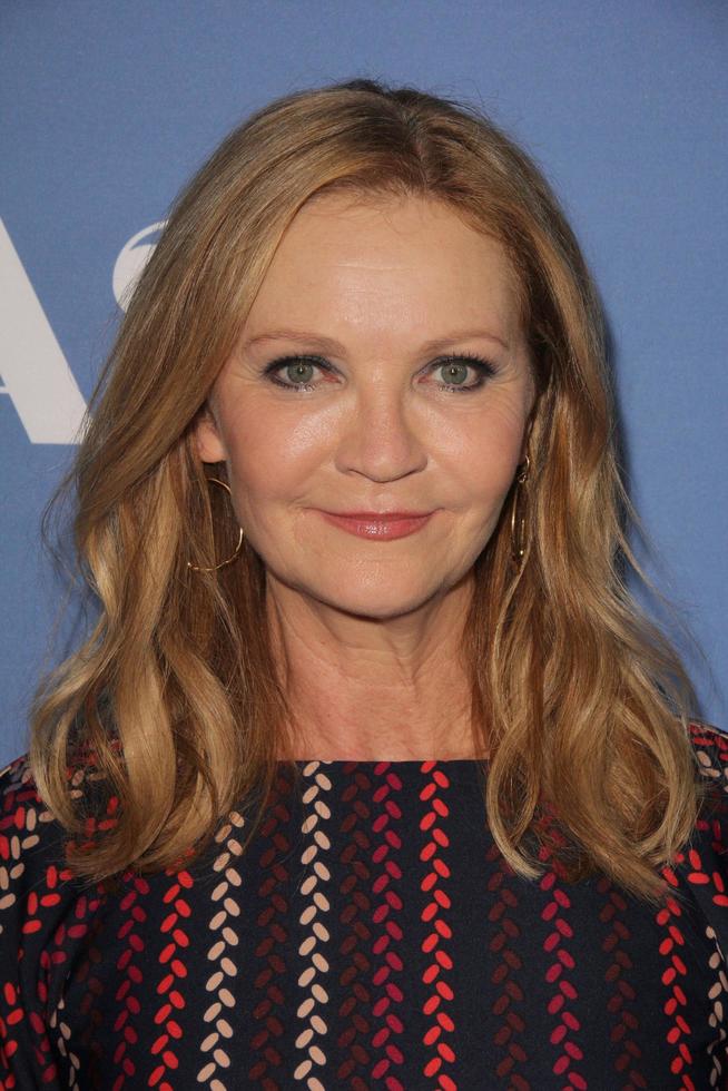 LOS ANGELES, OCT 13 - Joan Allen at the Room Los Angeles Premiere at the Pacific Design Center on October 13, 2015 in West Hollywood, CA photo