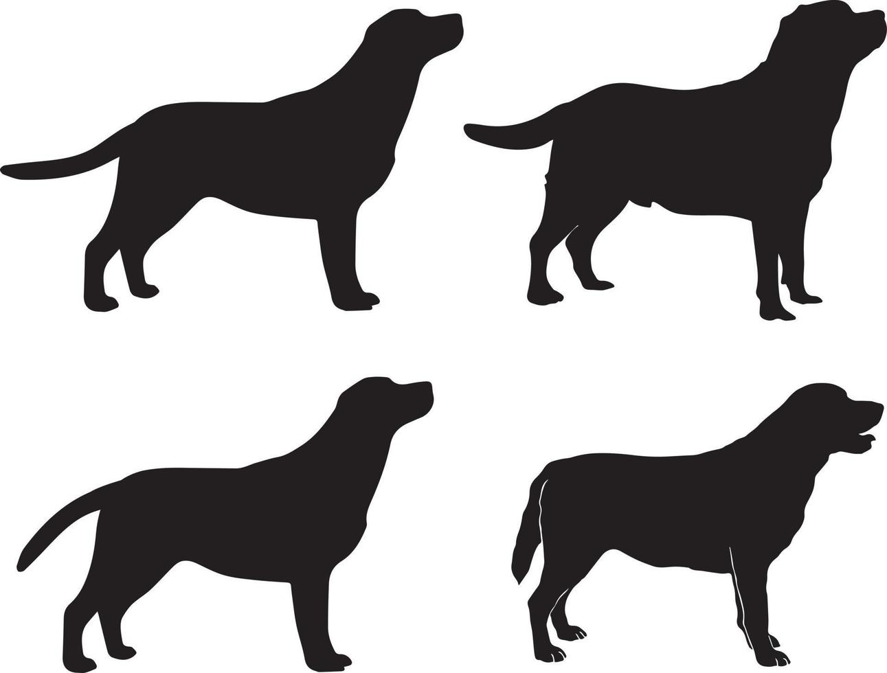 perro labrador 3 vector