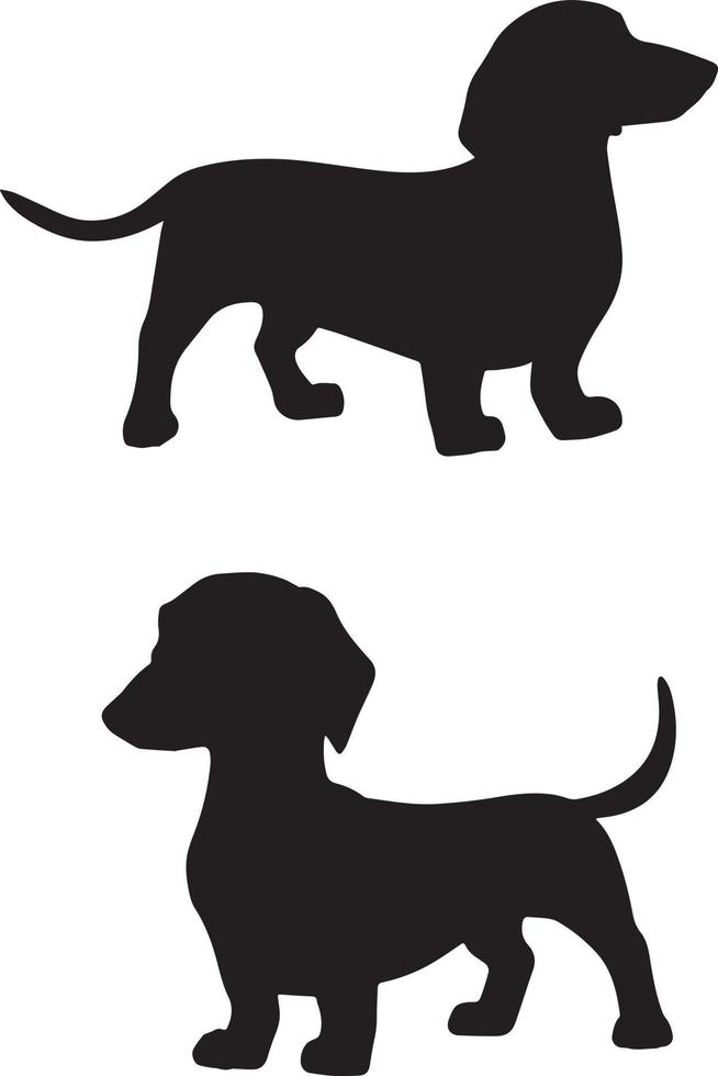 archivo vectorial dachshund vector