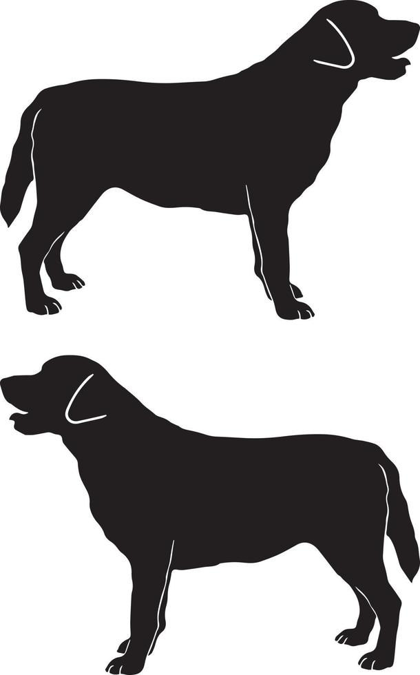 perro labrador 2 vector