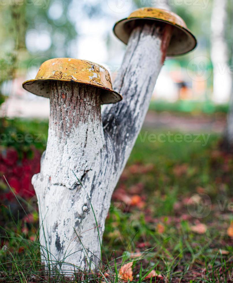 Man made mushrooms with iron hats 9795744 Stock Photo at Vecteezy