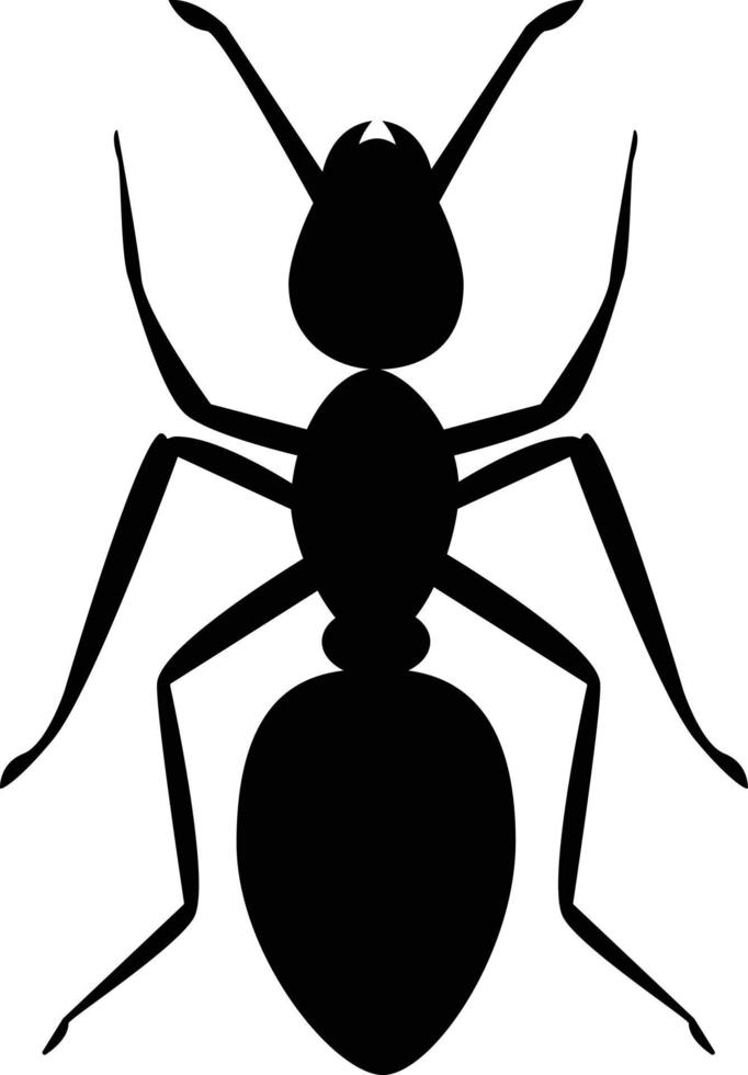 ant icon on white background. ant animal sign. black ant symbol. vector