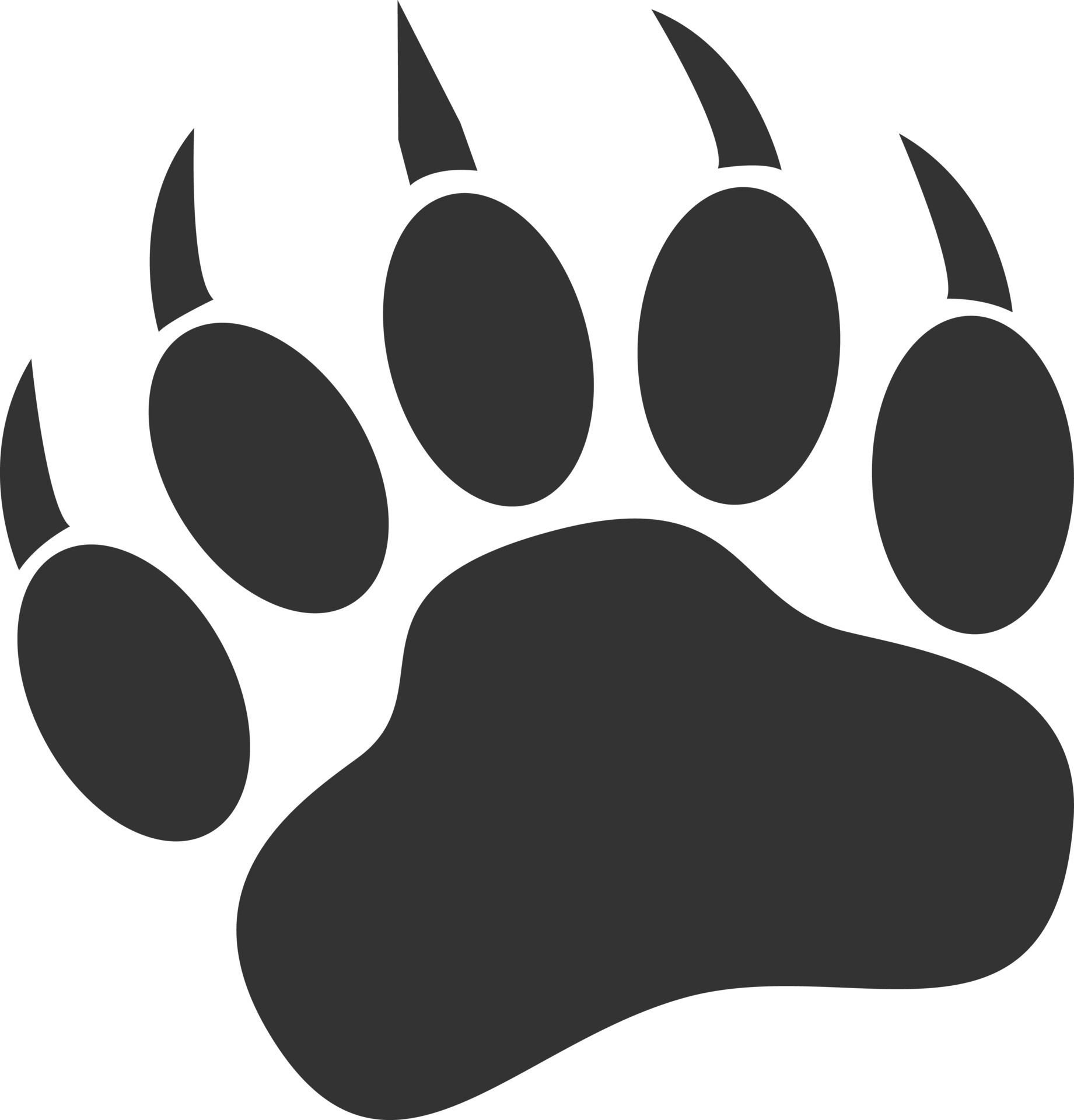 Bear Paw Print Icon On White Background Bear Claw Print Sign Animal paw-frame-on-white-background-flat-style-dog-paw-print-border-black