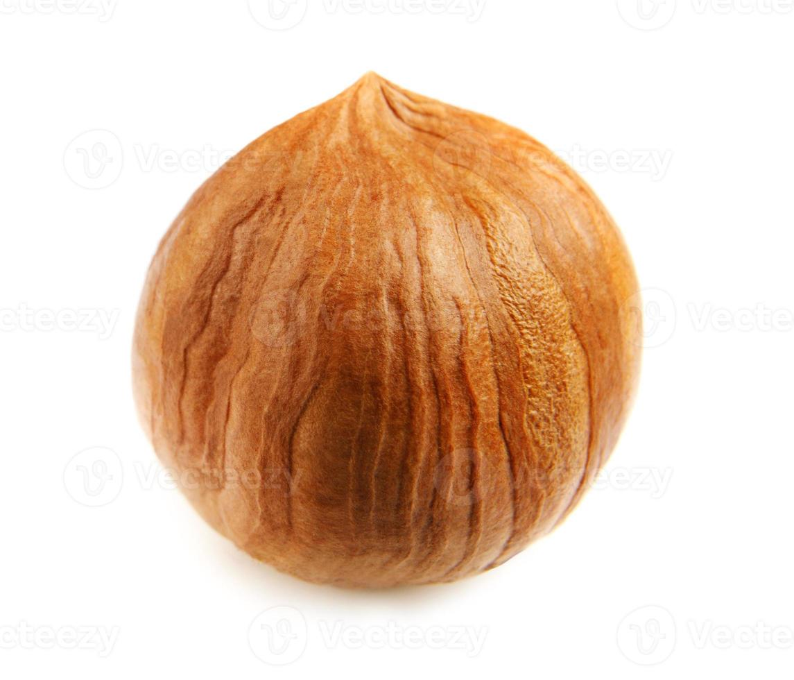 The whole hazelnut core is isolated on a white background. photo