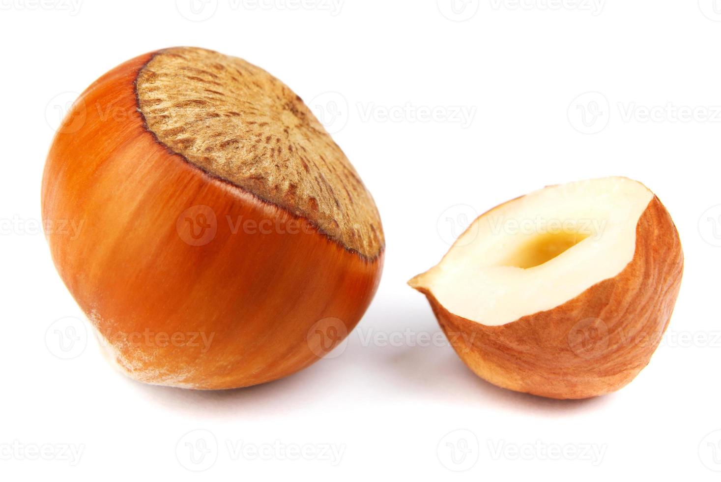 The solid hazelnut and half of the hazelnut core are isolated on a white background. photo