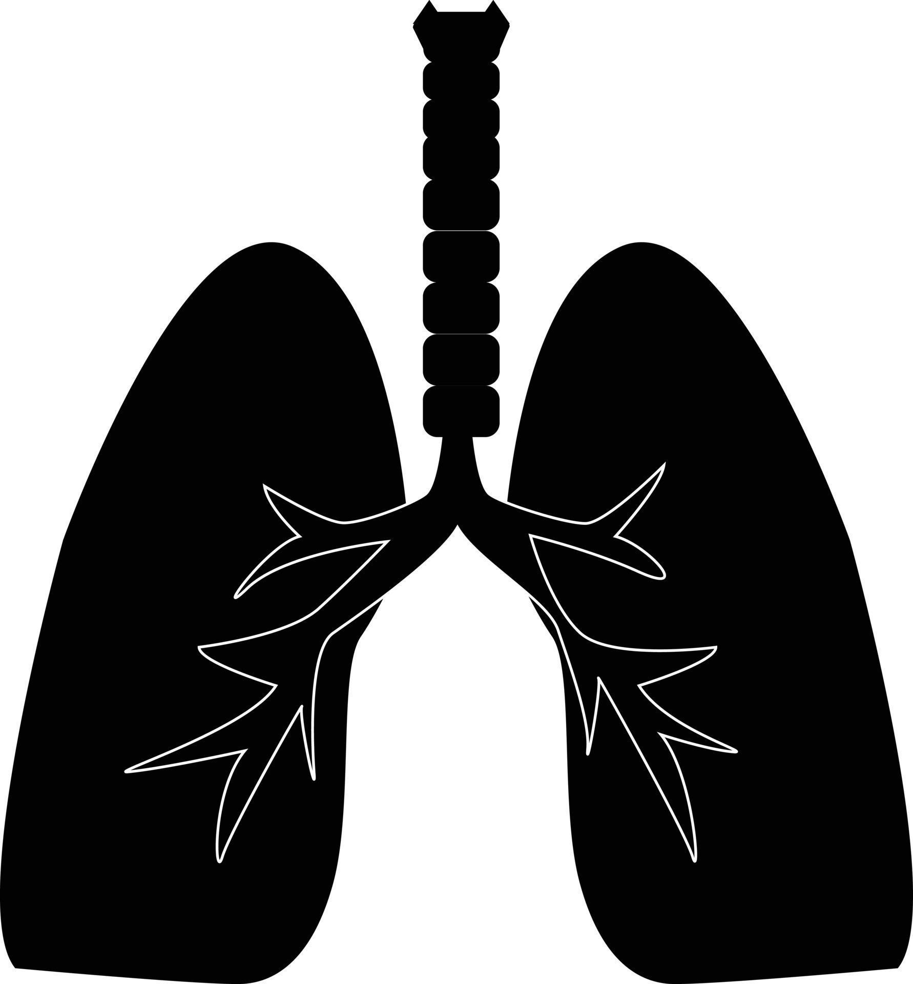 lungs icon on white background. human internal organ sign. human lungs