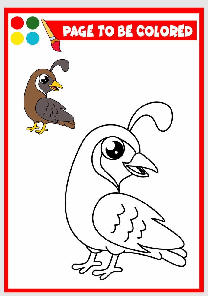 coloring book for kids. quail vector