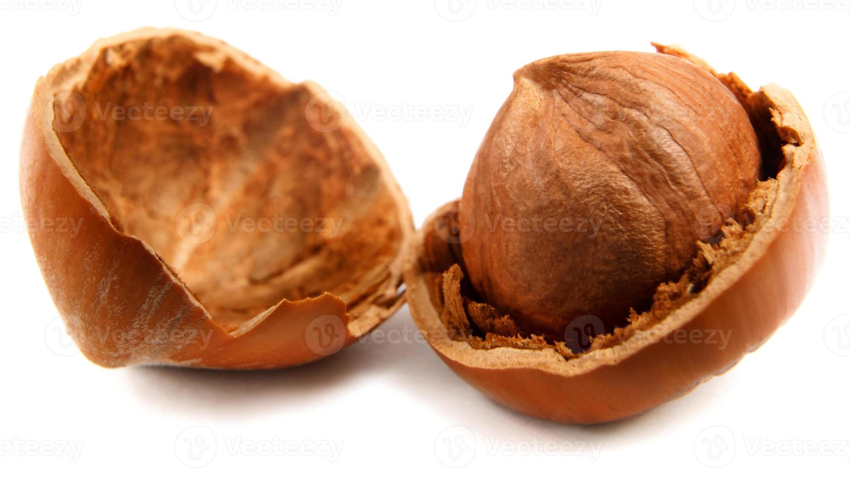 Whole core of hazelnut and hazelnut shell are isolated on white background. photo