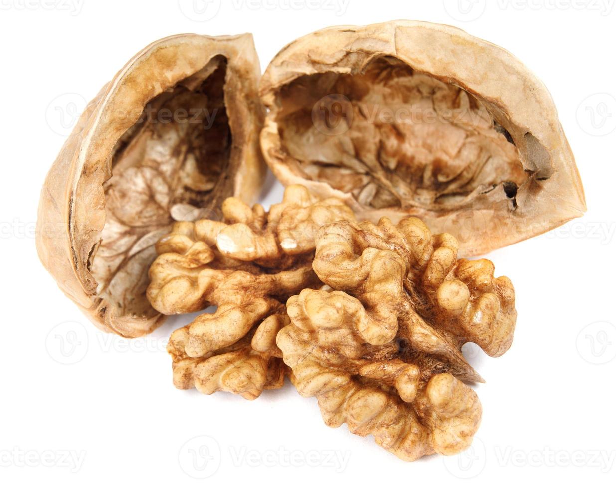 The core and shells of walnut are isolated on a white background. photo