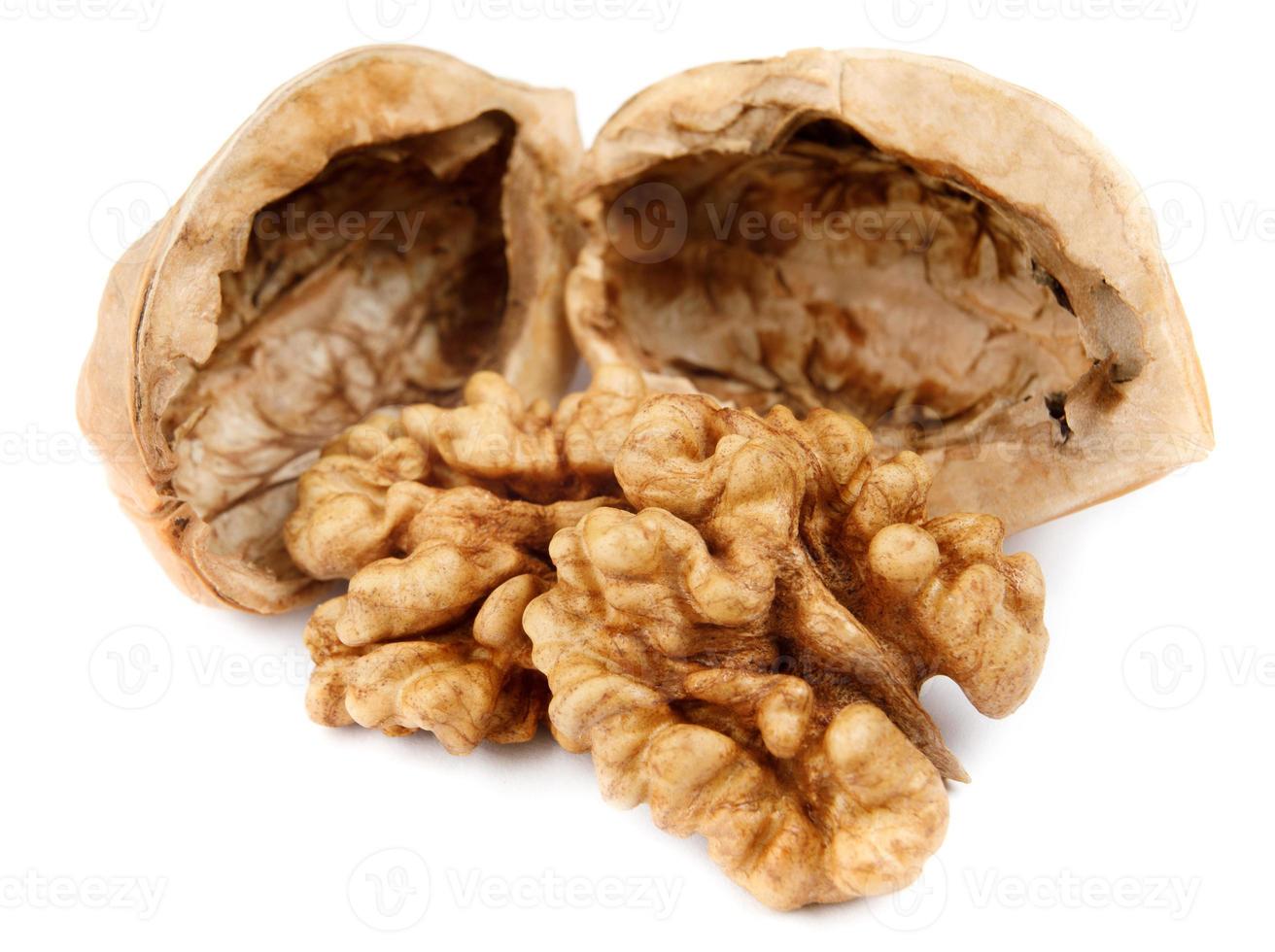 The core and shells of walnut are isolated on a white background. photo