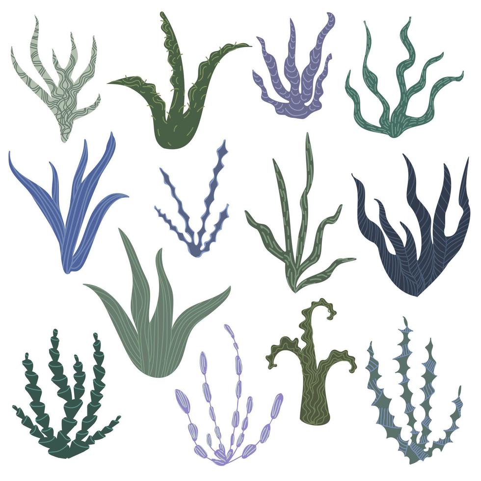 Set of seaweed in doodle style. vector