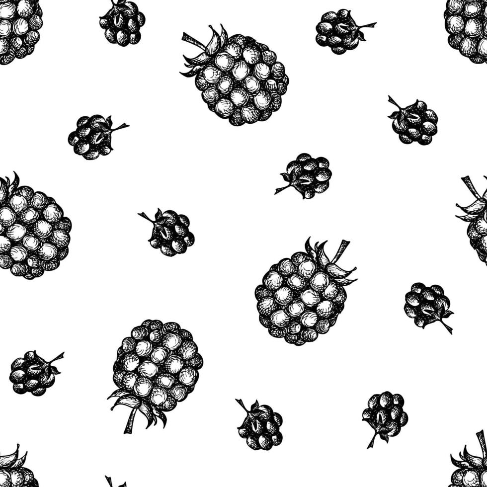 Seamless pattern with raspberries in graphic style. vector
