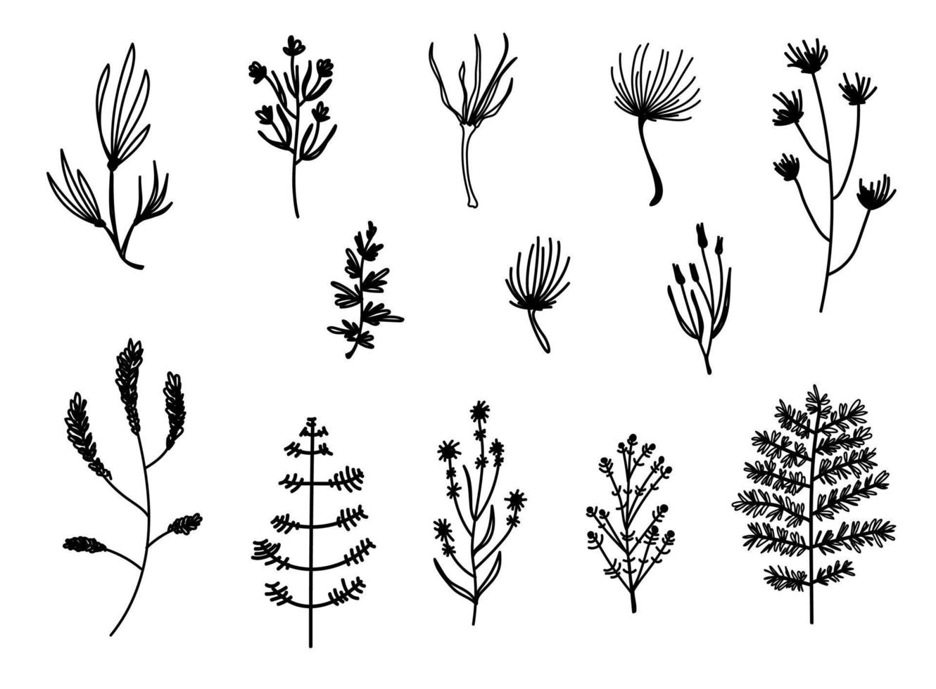 colección de elementos florales simples minimalistas. vector