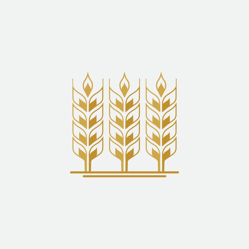 Agriculture wheat  logo vector