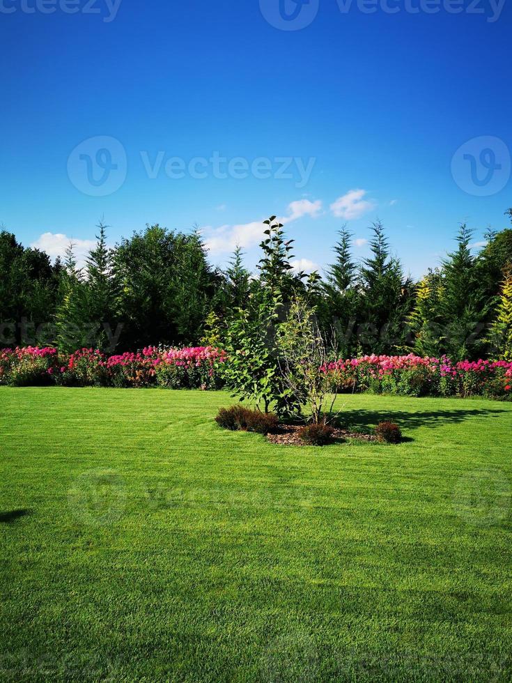 A large green field with trees in the background photo