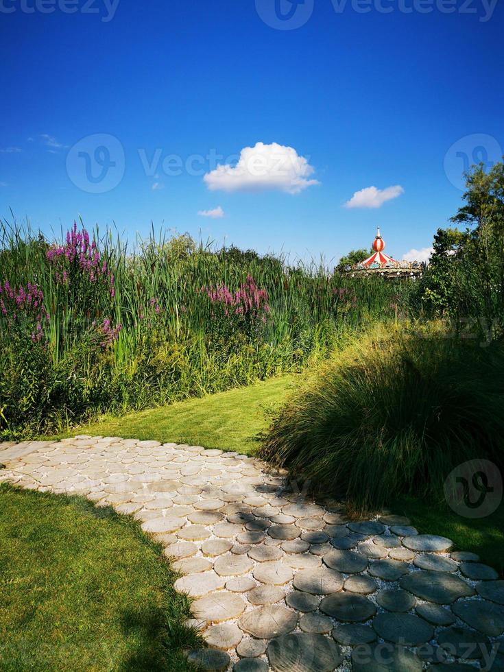 A path with grass and trees photo