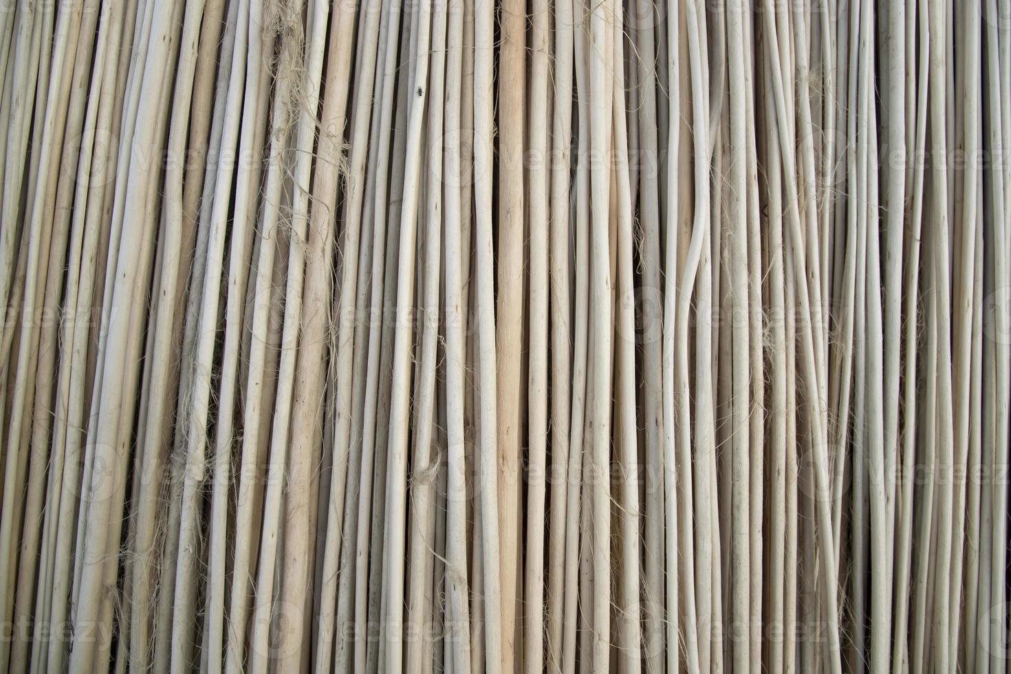 Rows and Rows of brown Jute Sticks Texture background of a field photo