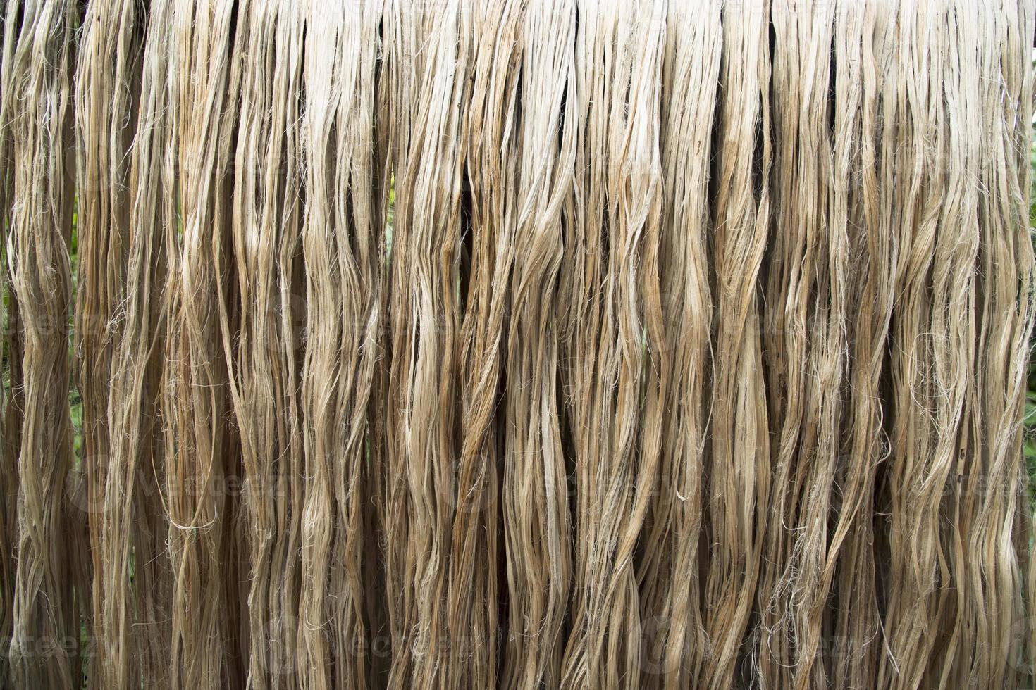 Closeup shot of raw jute fiber hanging under the sunlight for drying. Brown jute fiber texture and  background photo