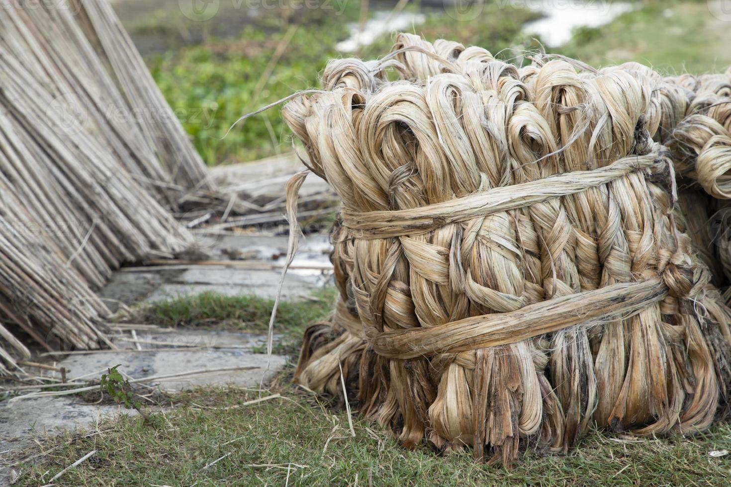 A thick brown  bundle of  raw jute has on the ground photo