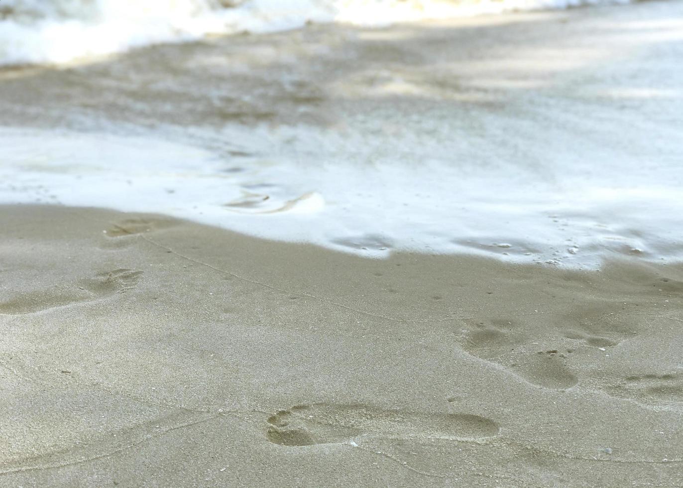 sunny day the sea shore and footprints in the sand photo