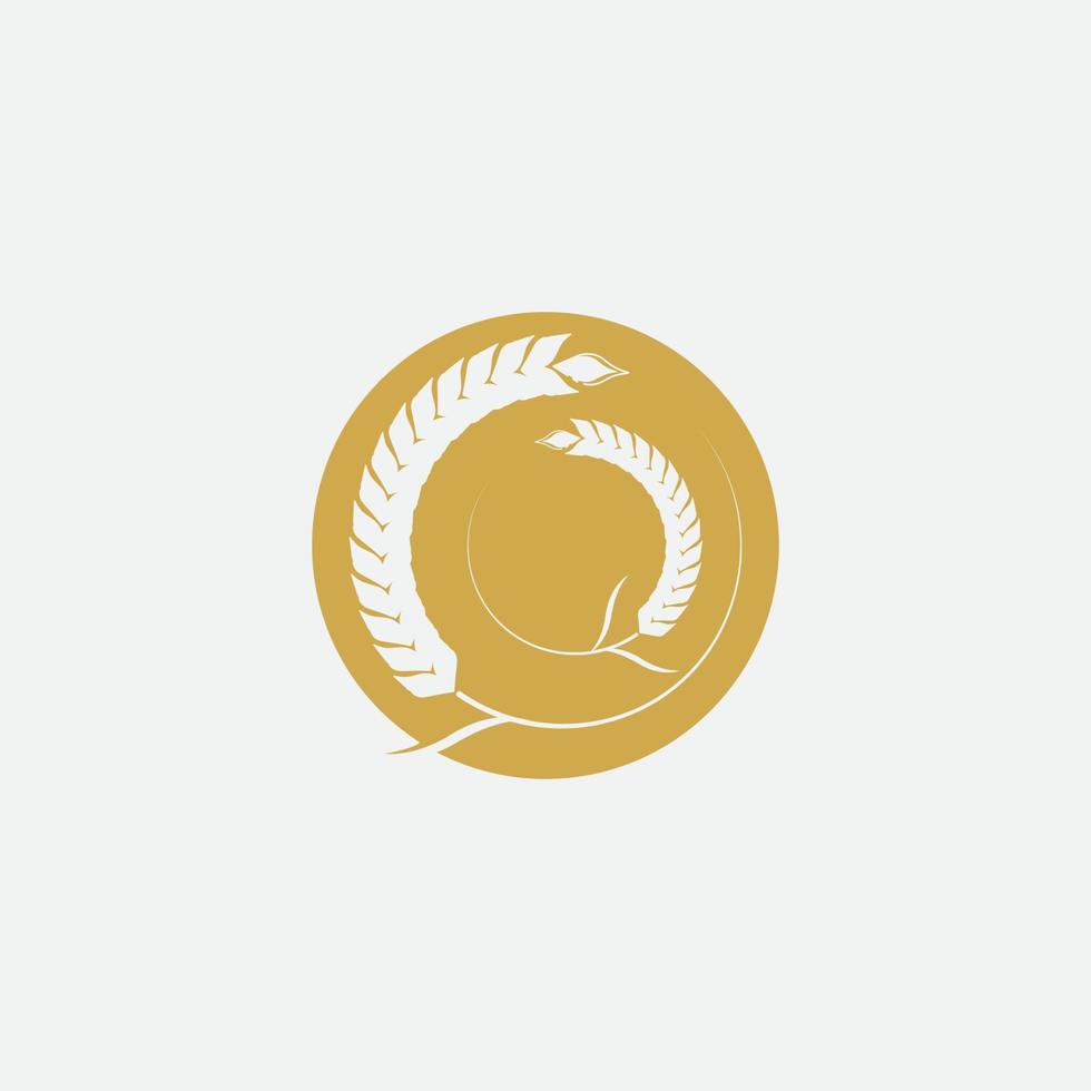 Agriculture wheat  logo vector