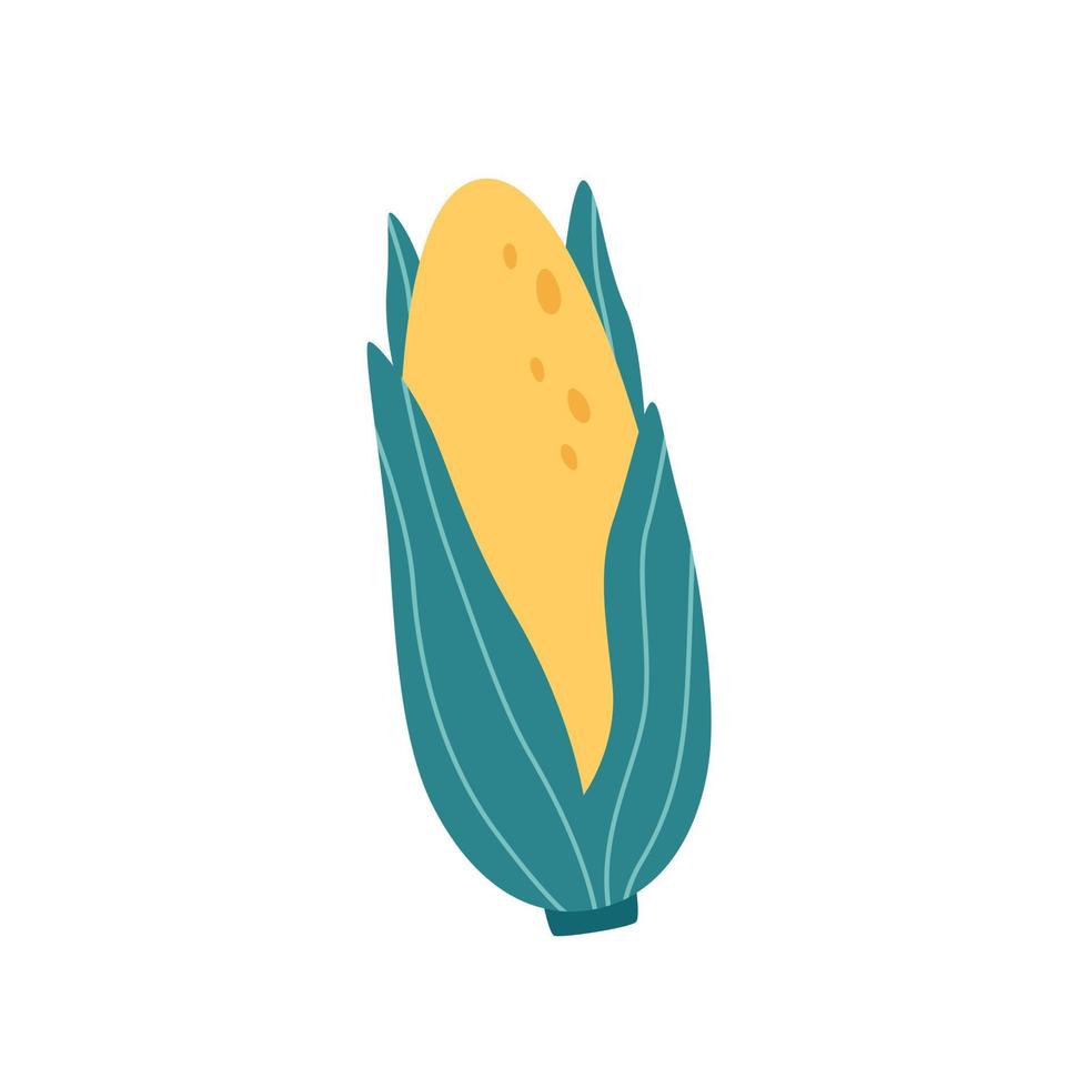 Corn, vegetable. Autumn and summer harvest, farming. Healthy food vector