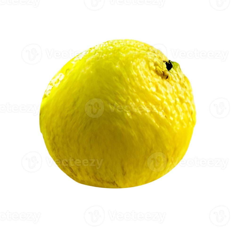 lemon fruit and half cut lemon isolated on white background Clipping Path photo