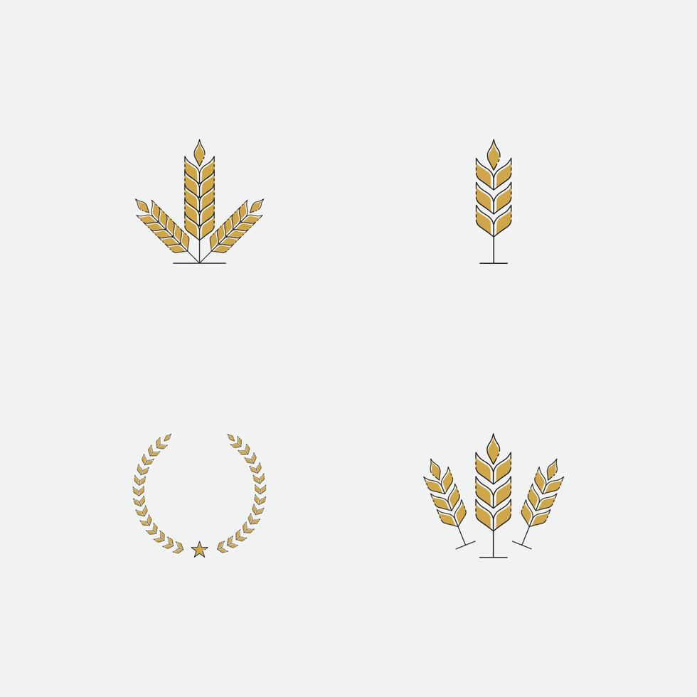 Agriculture wheat  logo vector