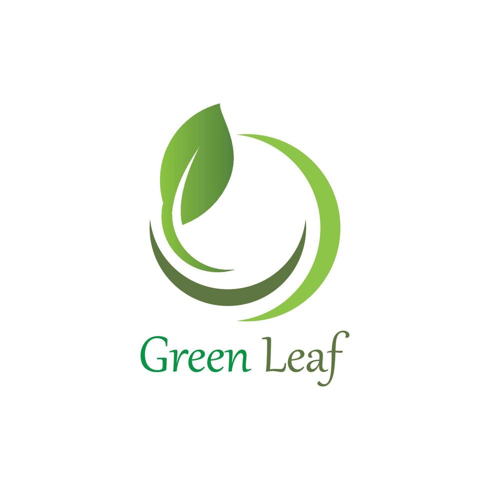 Logos of green Tree leaf ecology vector