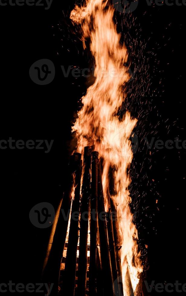 bonfire burns in the forest. photo