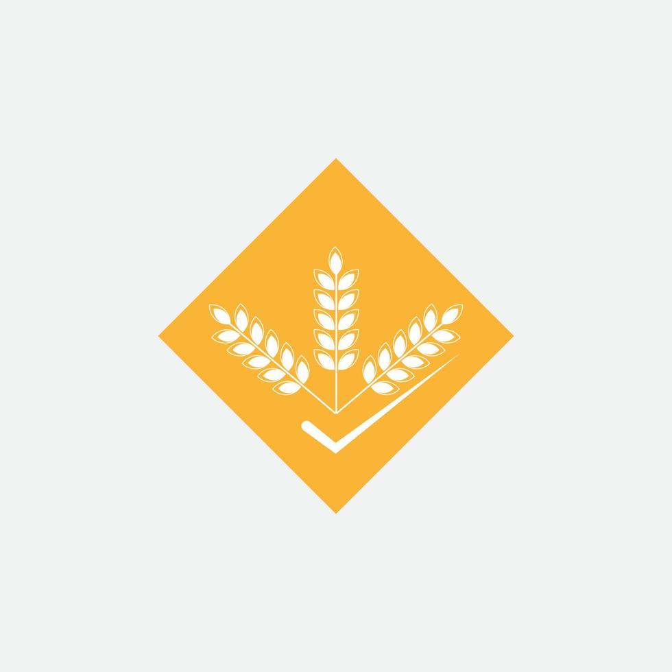Agriculture wheat  logo vector