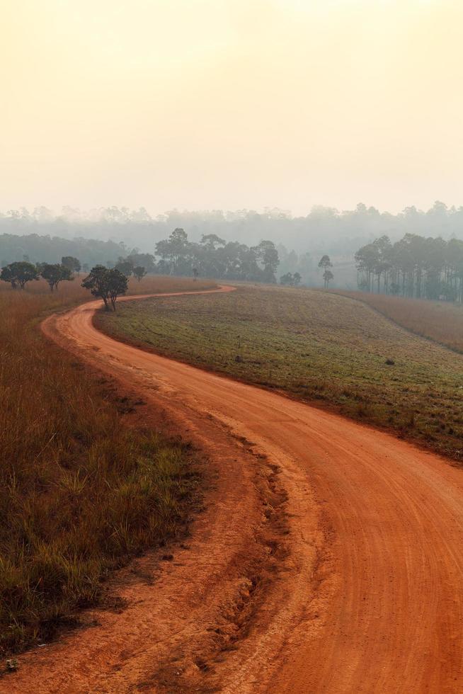 camino de tierra que conduce a través del bosque de principios de primavera en una mañana nublada en el parque nacional thung salang luang phetchabun, tailandia foto