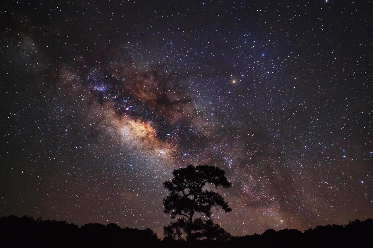 Close-up of Milky Way and Silhouette of tree,Long exposure photograph photo