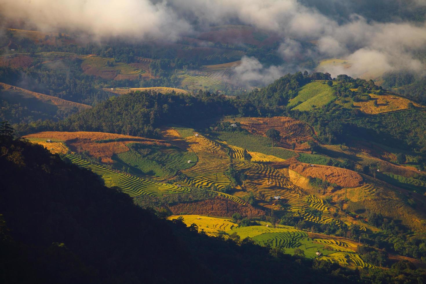 green terraced rice field at Ban Pa Bong Peay in Chiangmai, Thailand photo