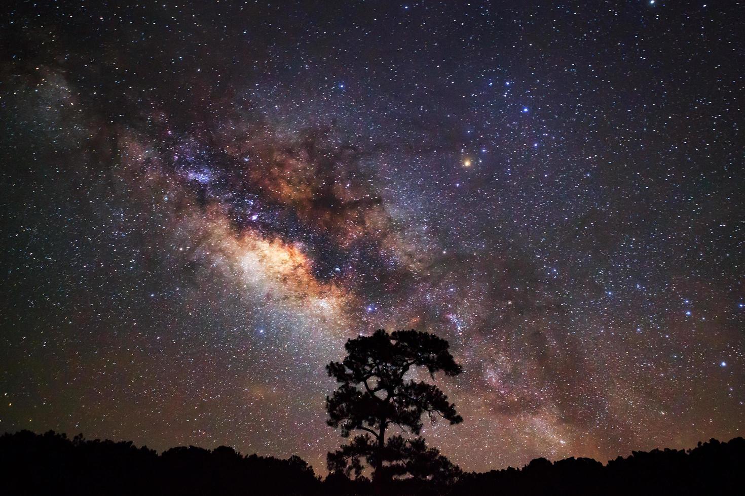 Milky Way and Silhouette of tree,Long exposure photograph, with grain photo