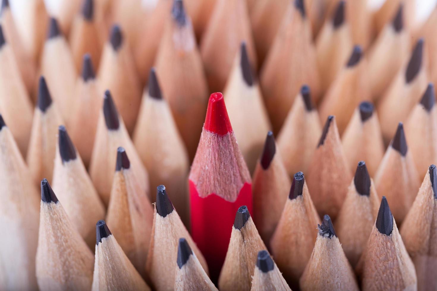 One sharpened red pencil among many ones photo