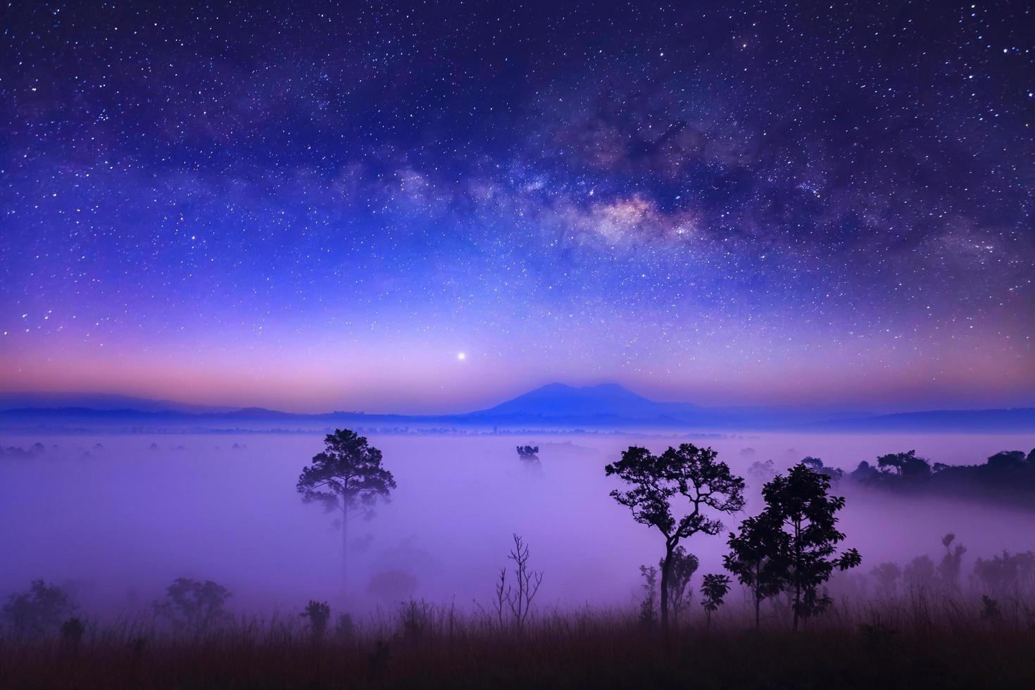 vía láctea y niebla en el parque nacional thung salang luang phetchabun, tailandia foto