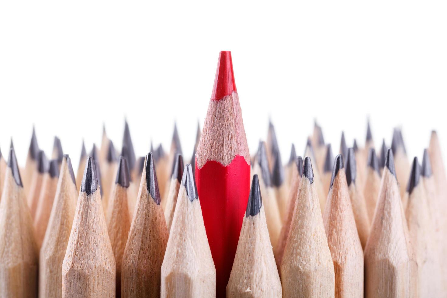 One sharpened red pencil among many ones photo