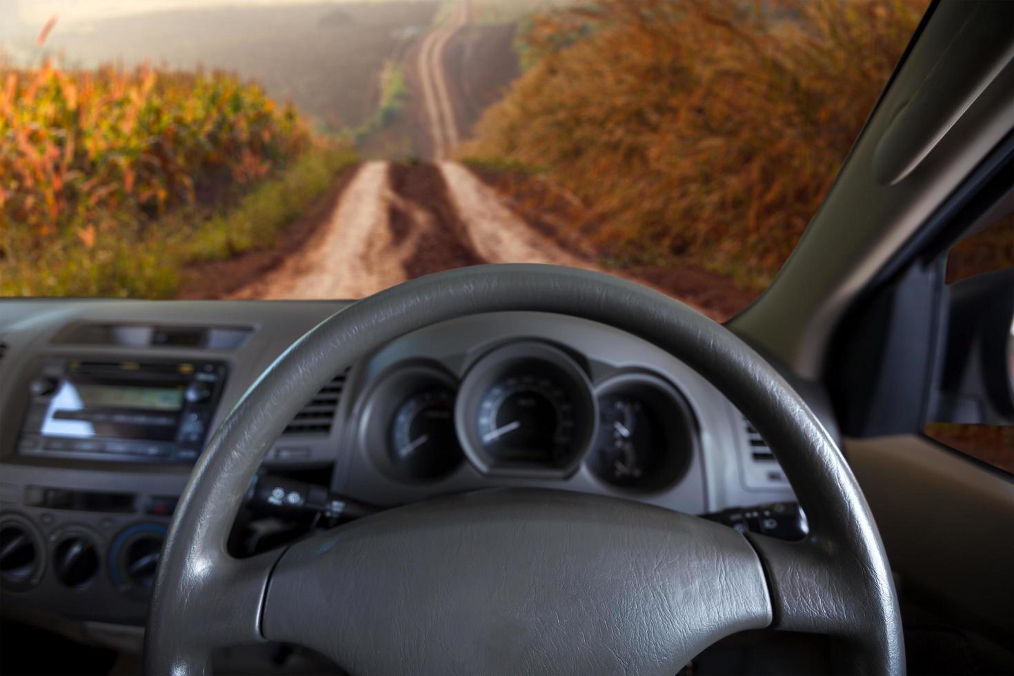 View from car on dirt road and meadow photo