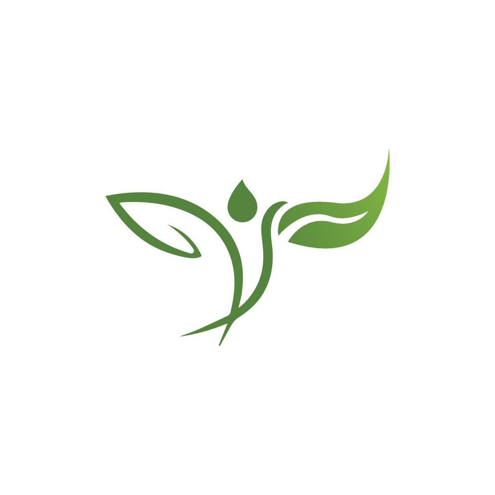 Logos of green Tree leaf ecology vector