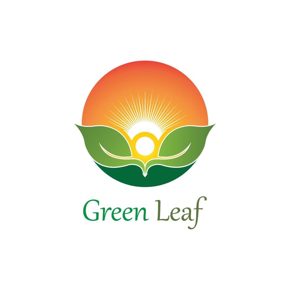 logotipos de la ecología de la hoja del árbol verde vector