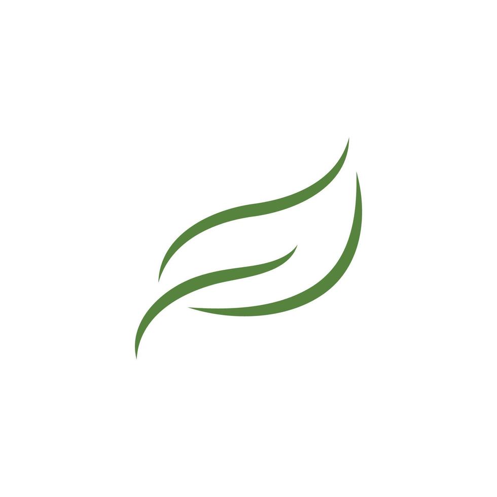 logotipos de la ecología de la hoja del árbol verde vector