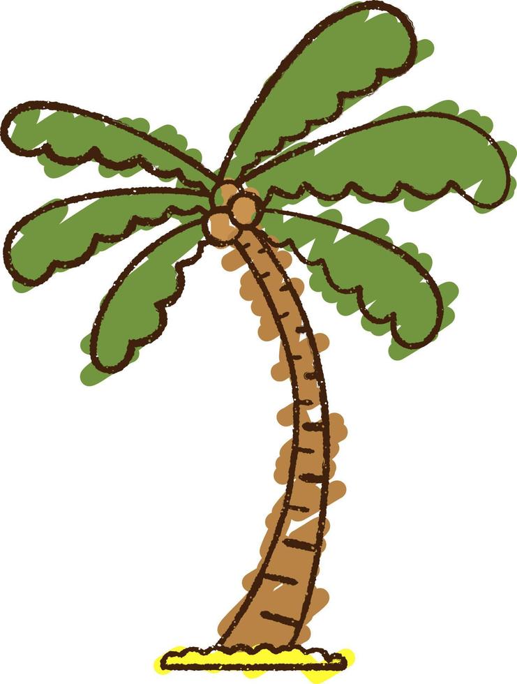 Palm Tree Chalk Drawing vector