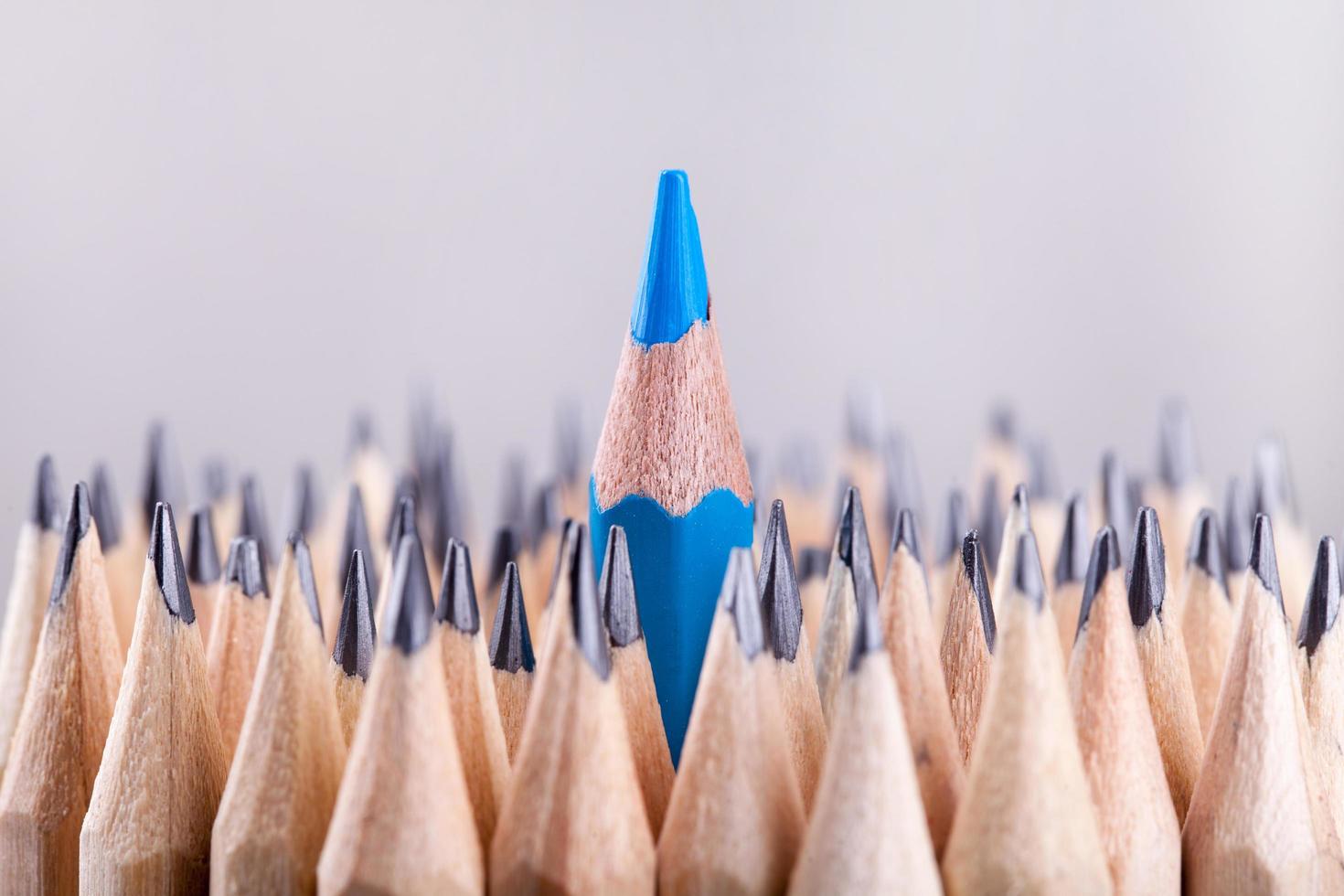 One sharpened blue pencil among many ones photo