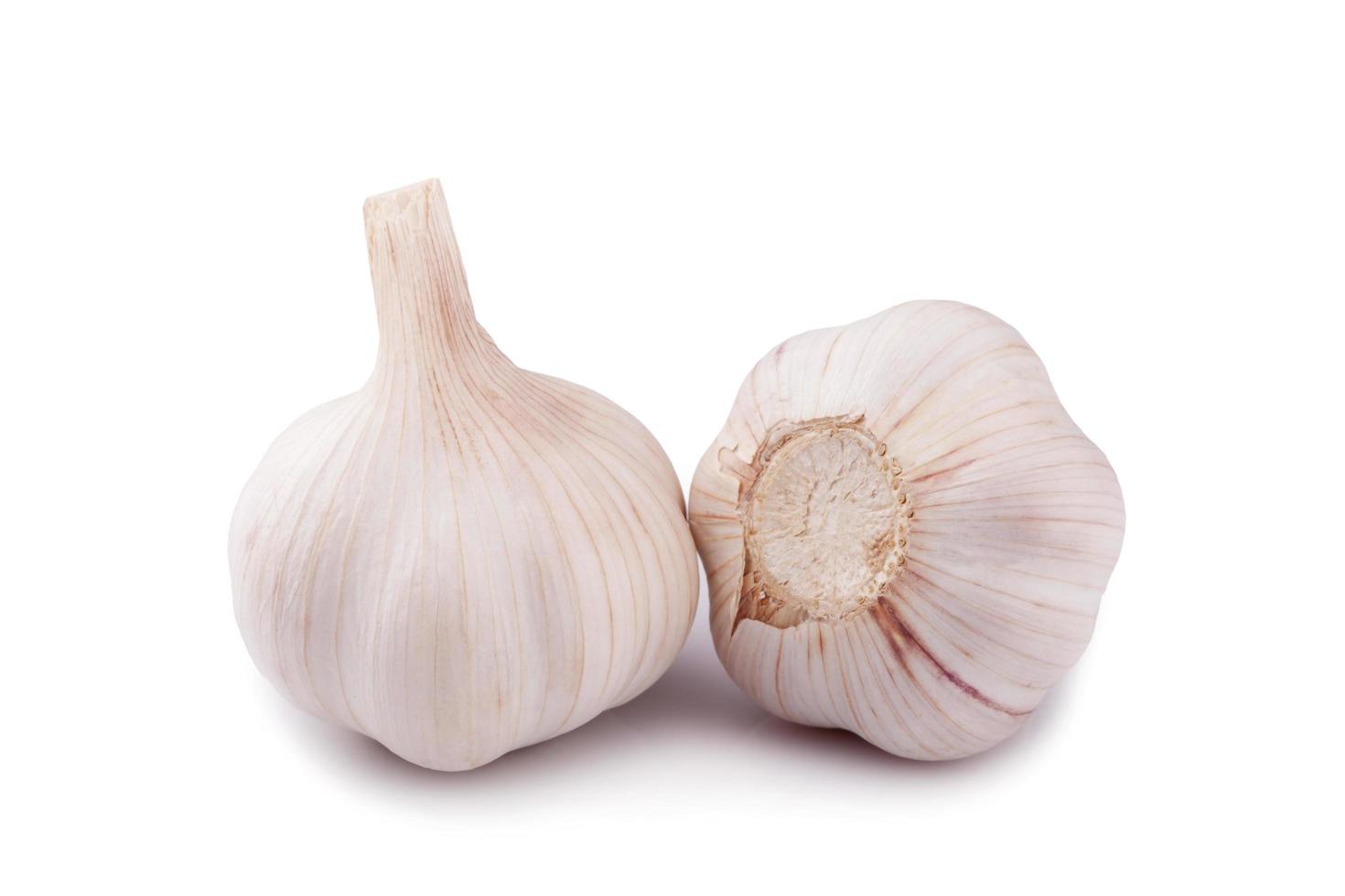 Fresh garlic isolated on white background photo