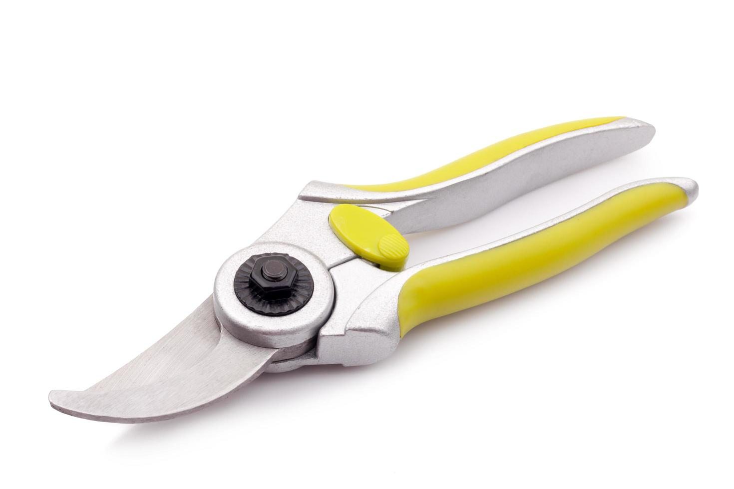 green garden secateurs isolated on a white background photo