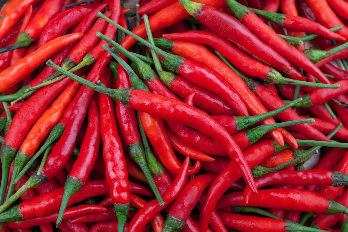 red chili or chilli cayenne pepper photo