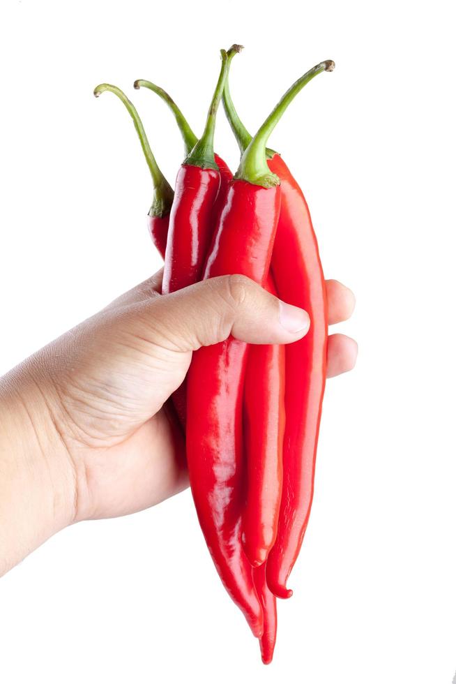 Hand holding a hot red pepper photo