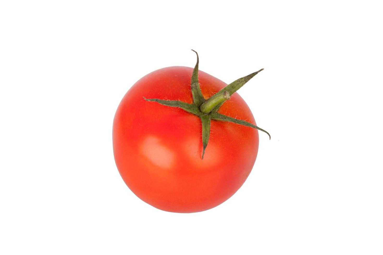 fresh tomato on white background photo