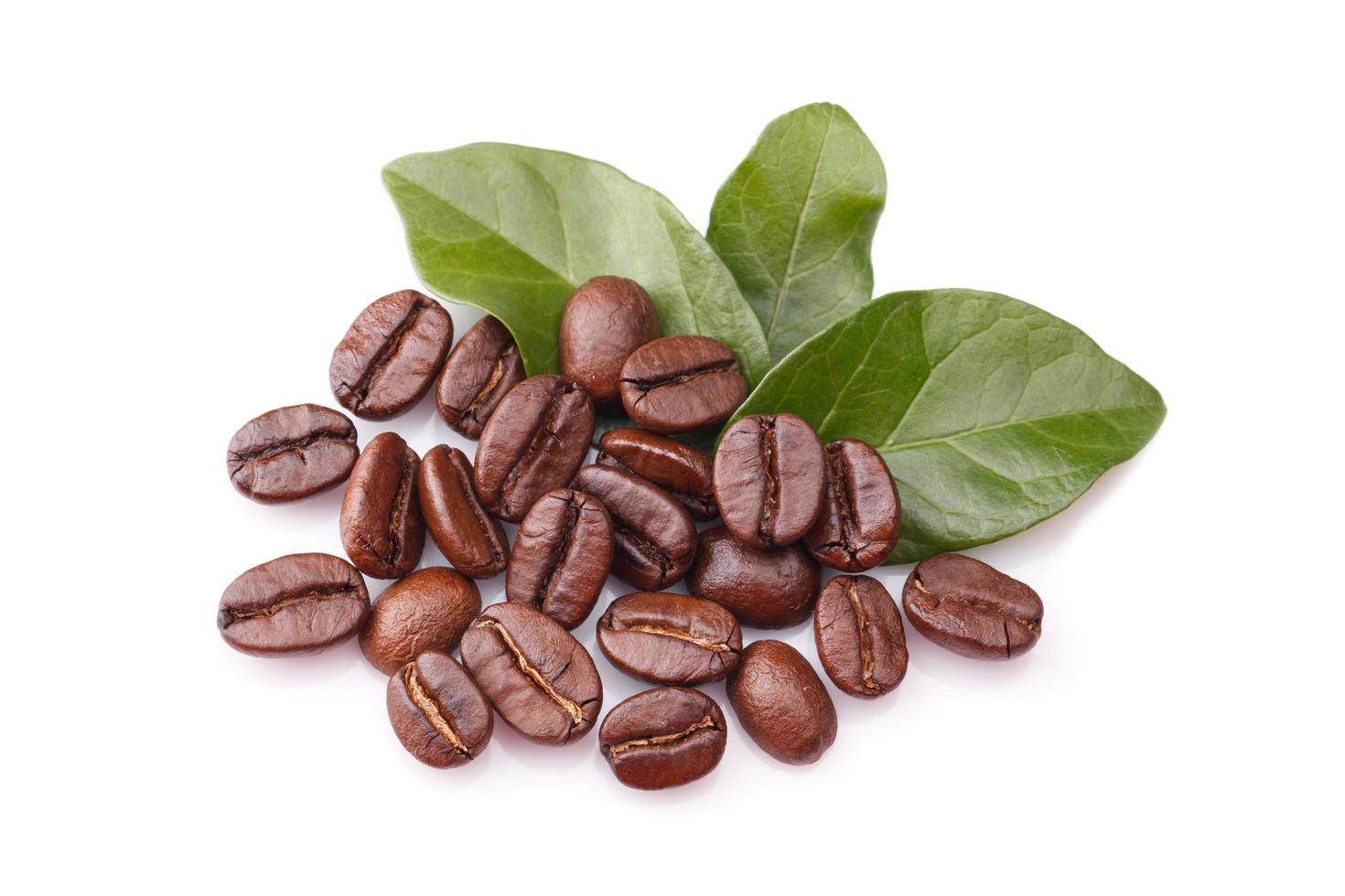 granos de café y hojas sobre fondo blanco foto